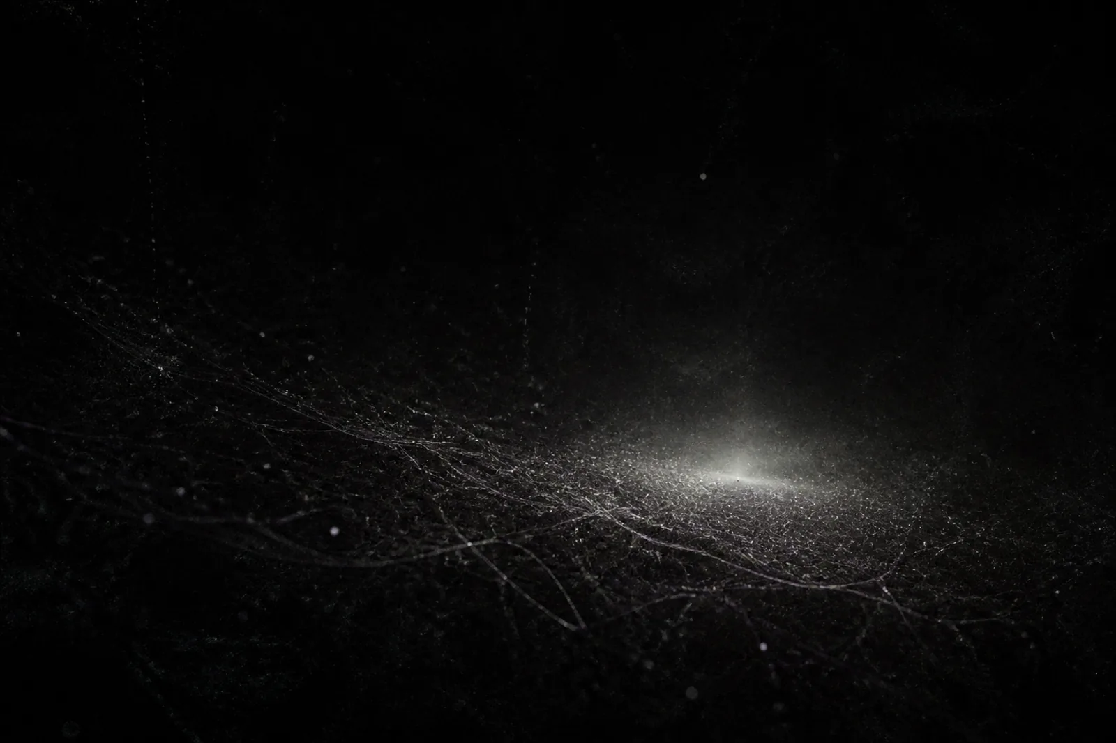A fading swarm of signal filaments surrounding the universe's last dim energy gradient